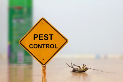 Pest Contol in Broxbourne, EN10. Call Now 020 8166 9746