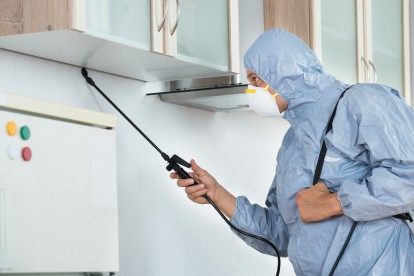 Home Pest Control, Pest Control in Broxbourne, EN10. Call Now 020 8166 9746
