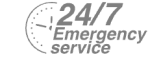 24/7 Emergency Service Pest Control in Broxbourne, EN10. Call Now! 020 8166 9746